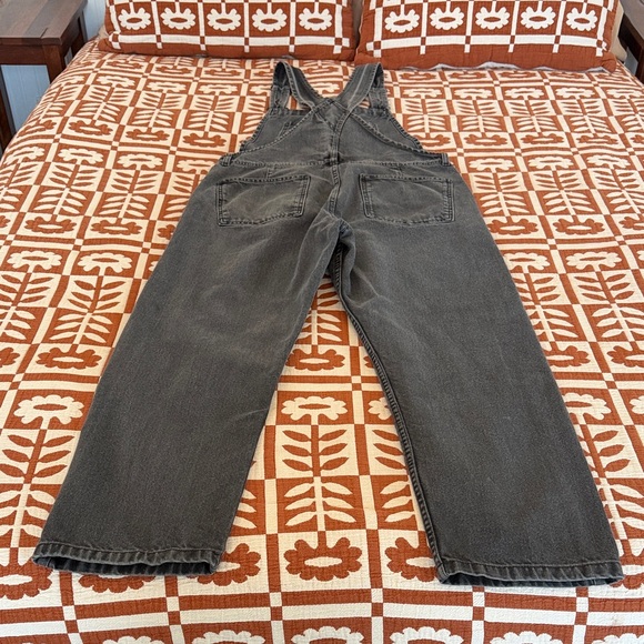 We The Free Ziggy Denim Overalls - Picture 6 of 6